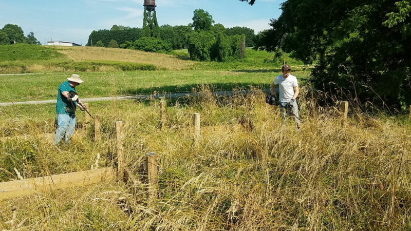 June 20, 2019- Pollination Trail Work Day